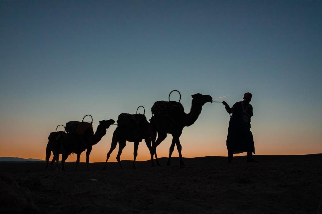 Bar extérieur et espace détente, Oxygen Lodge Agafay